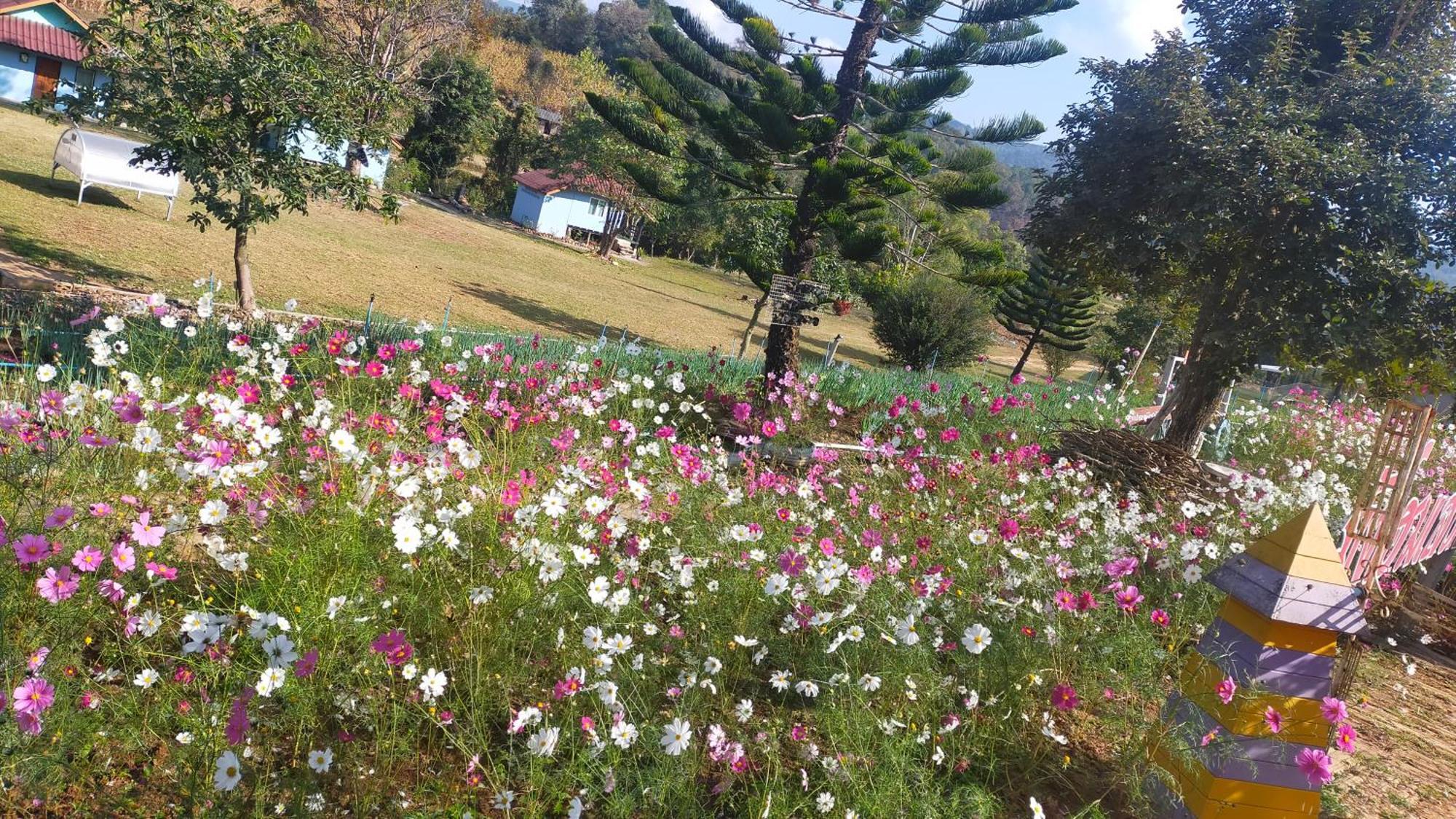 Mong Homestay Resort Pang Ung Экстерьер фото