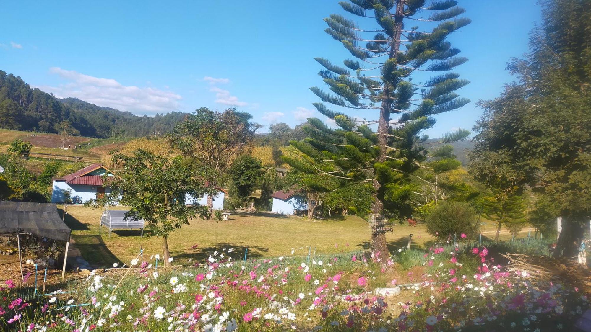 Mong Homestay Resort Pang Ung Экстерьер фото
