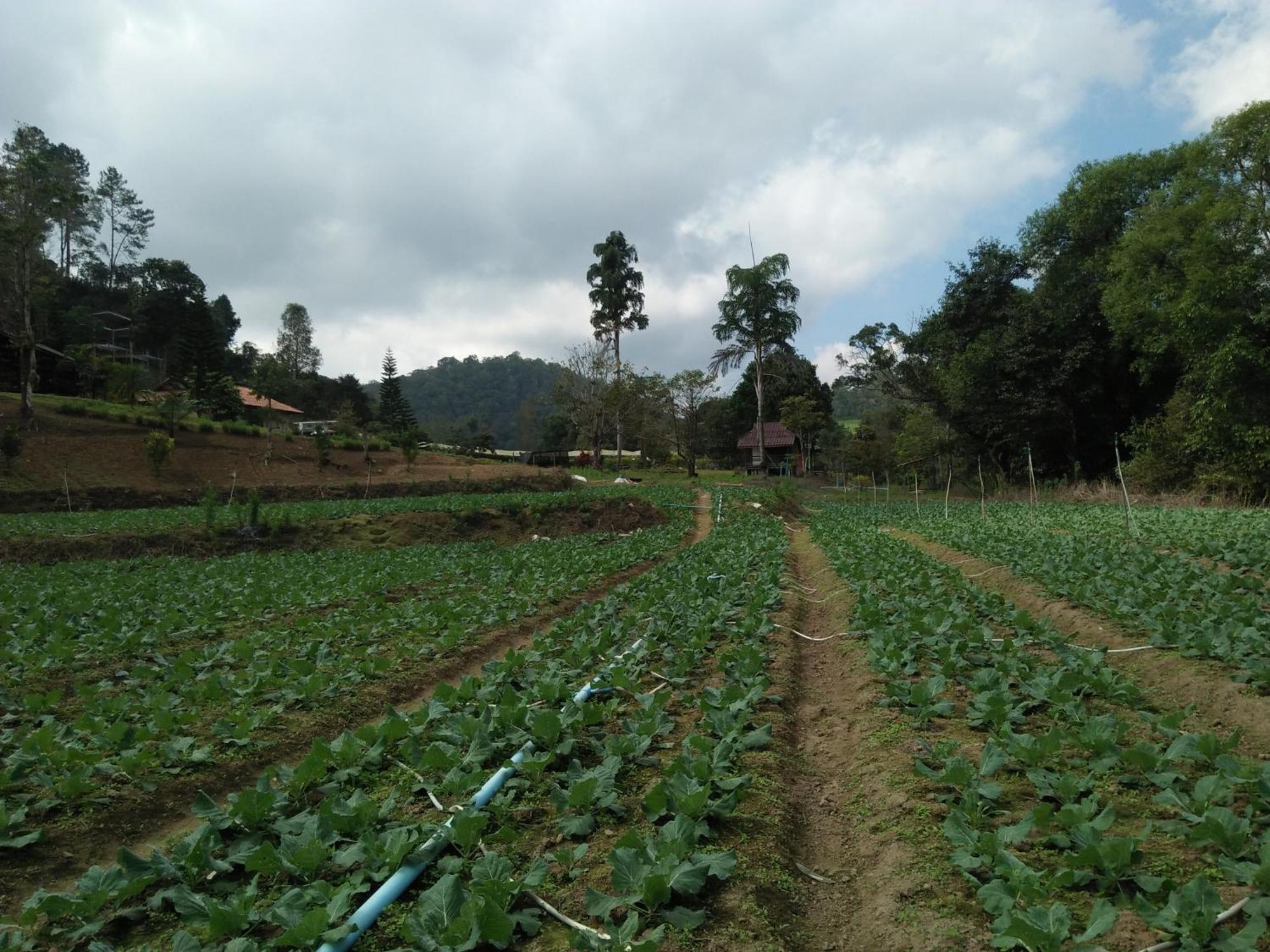 Mong Homestay Resort Pang Ung Экстерьер фото