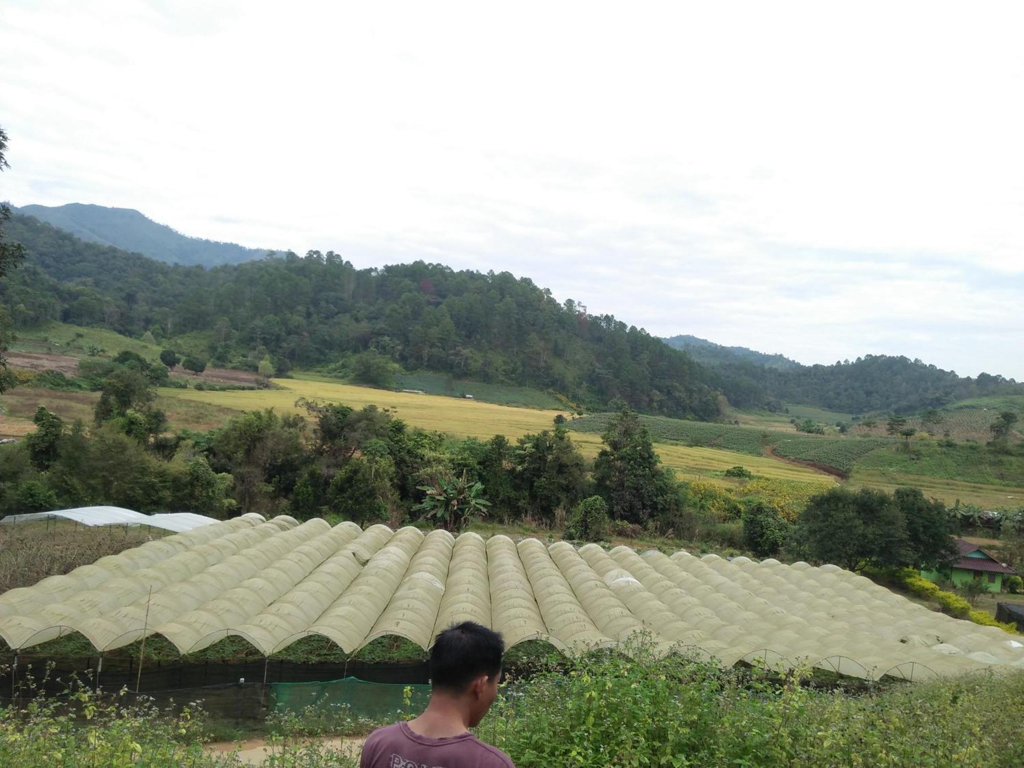 Mong Homestay Resort Pang Ung Экстерьер фото