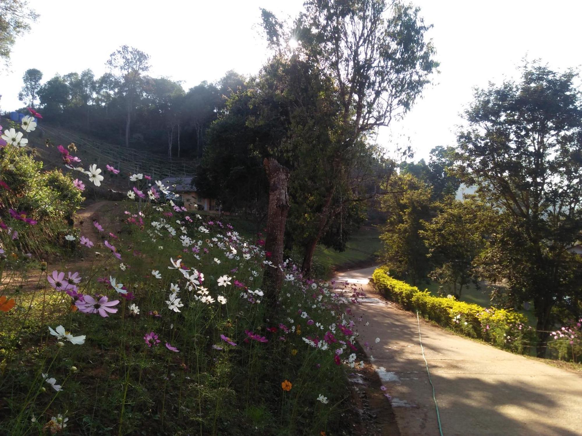 Mong Homestay Resort Pang Ung Экстерьер фото